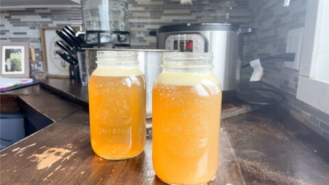 two jars of homemade bone broth